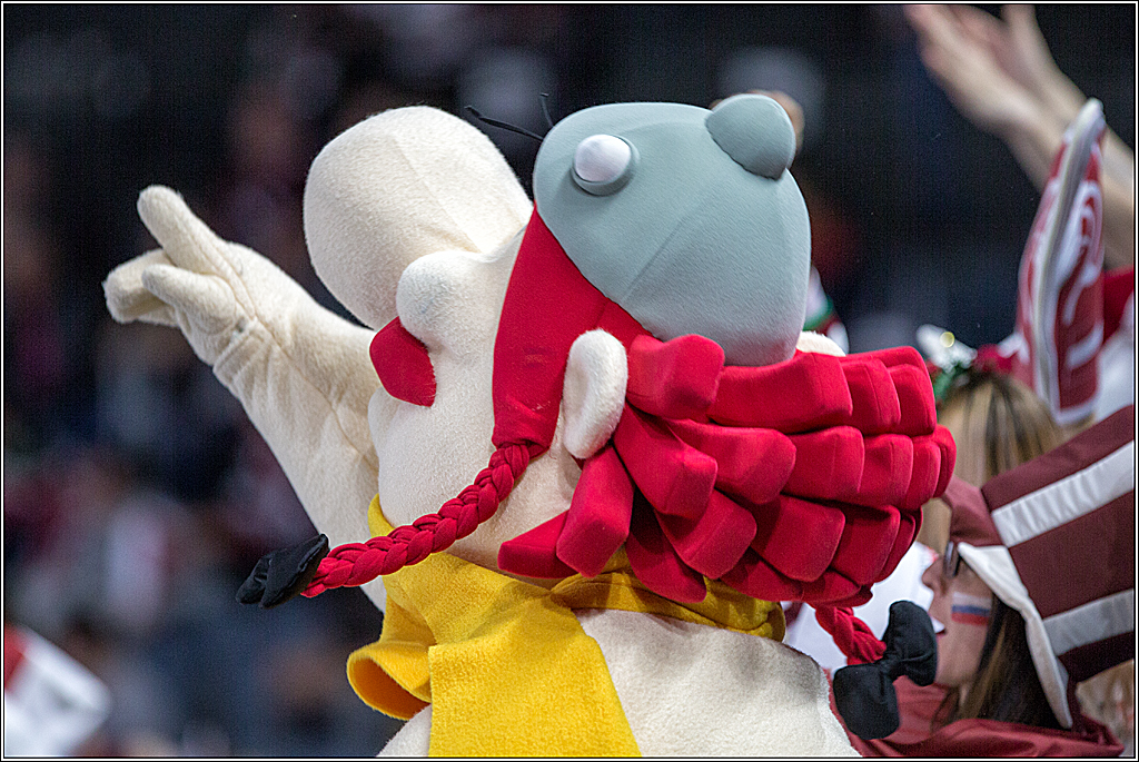 IIHF WM 2017, Slowakei - Deutschland, 10.05.2017